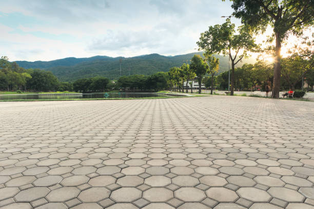 Best Decorative Driveway Pavers  in Waikapu, HI